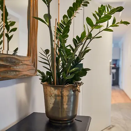 Junker's アパート *