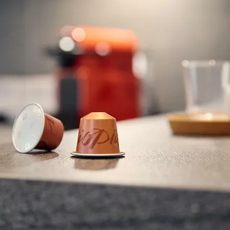 公寓 Junker's 萨尔茨堡