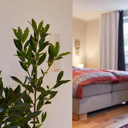 Junker's 萨尔茨堡